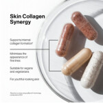 Skin Collagen Synegy 2
